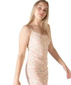 Ivory Mesh Floral Mini Dress