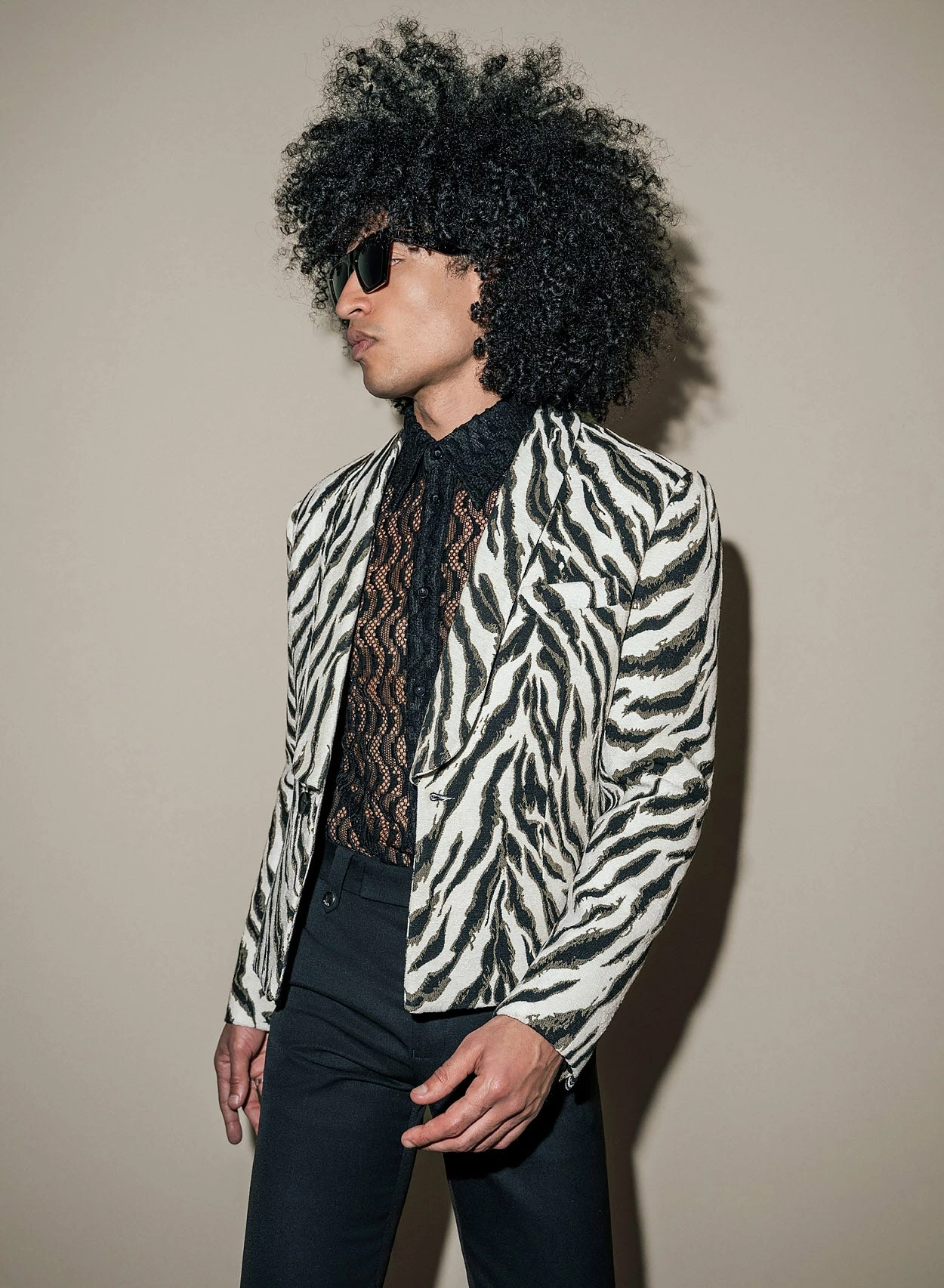 Zebra Shawl Collar Cropped Blazer 1 Zebra Shawl Collar Cropped Blazer