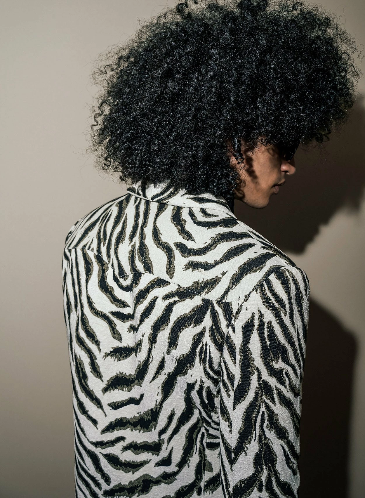 Zebra Shawl Collar Cropped Blazer 5 Zebra Shawl Collar Cropped Blazer - Image 5